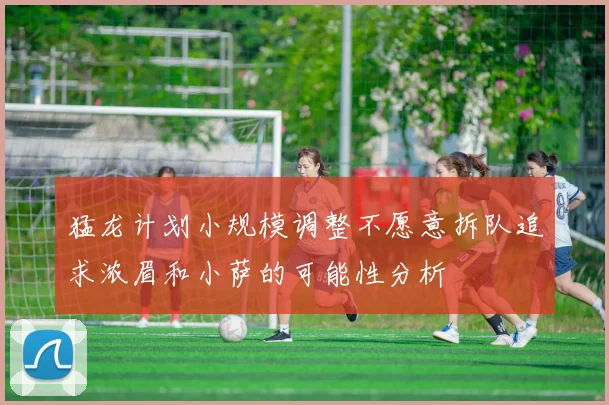 猛龙计划小规模调整不愿意拆队追求浓眉和小萨的可能性分析
