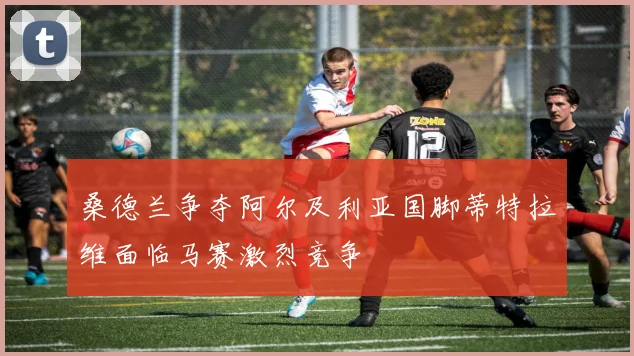 桑德兰争夺阿尔及利亚国脚蒂特拉维面临马赛激烈竞争